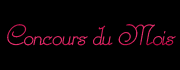... mois de dcembre - concours "Dame de l'Hiver"...